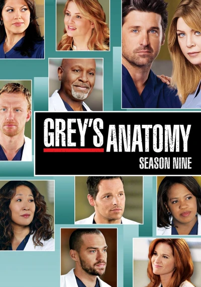 Ca Phẫu Thuật Của Grey (Phần 9) (Grey's Anatomy (Season 9)) [2012]