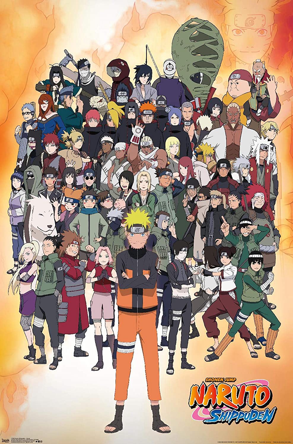 Naruto Shippuden (Naruto Shippuuden) [2007]
