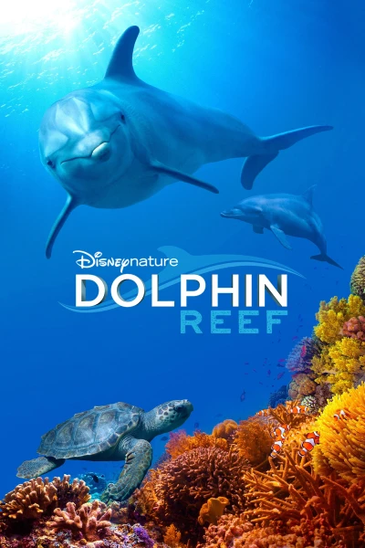 Rạn San Hô Cá Heo (Dolphin Reef) [2018]